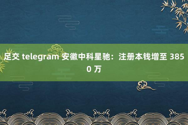 足交 telegram 安徽中科星驰：注册本钱增至 3850 万