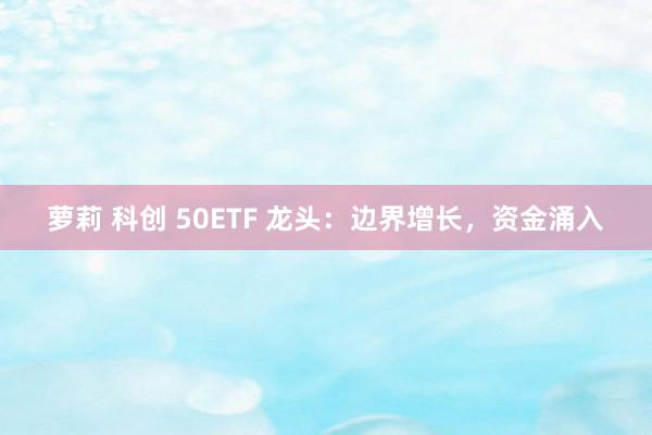 萝莉 科创 50ETF 龙头：边界增长，资金涌入