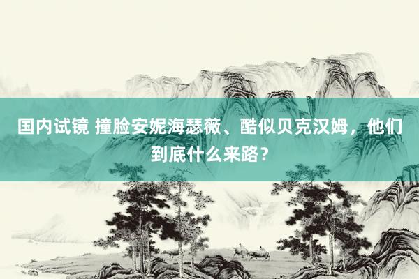 国内试镜 撞脸安妮海瑟薇、酷似贝克汉姆，他们到底什么来路？