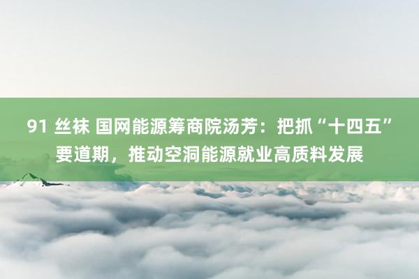 91 丝袜 国网能源筹商院汤芳：把抓“十四五”要道期，推动空洞能源就业高质料发展