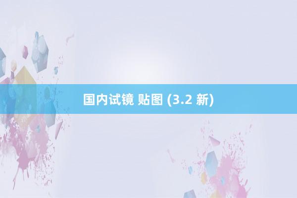 国内试镜 贴图 (3.2 新)