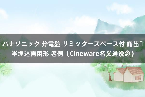 パナソニック 分電盤 リミッタースペース付 露出・半埋込両用形 老例（Cineware名义通说念）