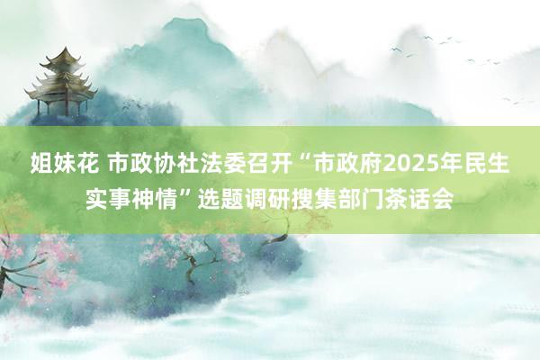 姐妹花 市政协社法委召开“市政府2025年民生实事神情”选题调研搜集部门茶话会